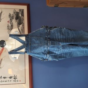 Universal Standard Classic Overalls 18-20 (M)